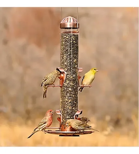 Comedero & Bebederos Ergonómicos para Aves y Canarios